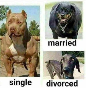 Single