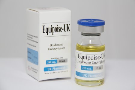 Equipoise2