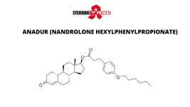 ANADUR NANDROLONE HEXYLPHENYLPROPIONATE