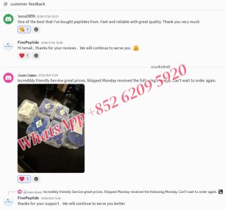 Reviews Discord Reviews Discord