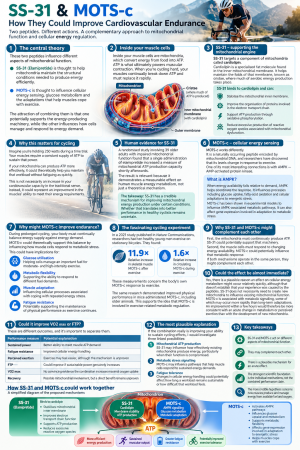 SS-31 and MOTS-c_ Cycling Energy Explained.png