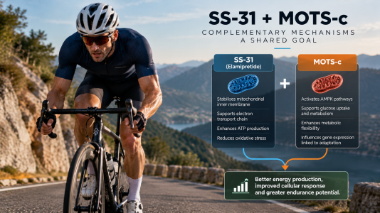 Cycling Performance  SS 31 and MOTS c